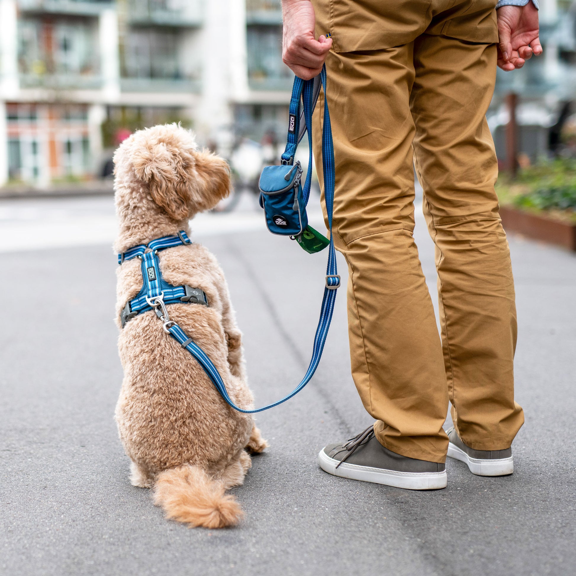 V3 Freestyle Leash - Sam & Emma