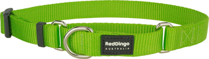 Red Dingo Half Check (Martingale) Hundehalsband Basic - Sam & Emma